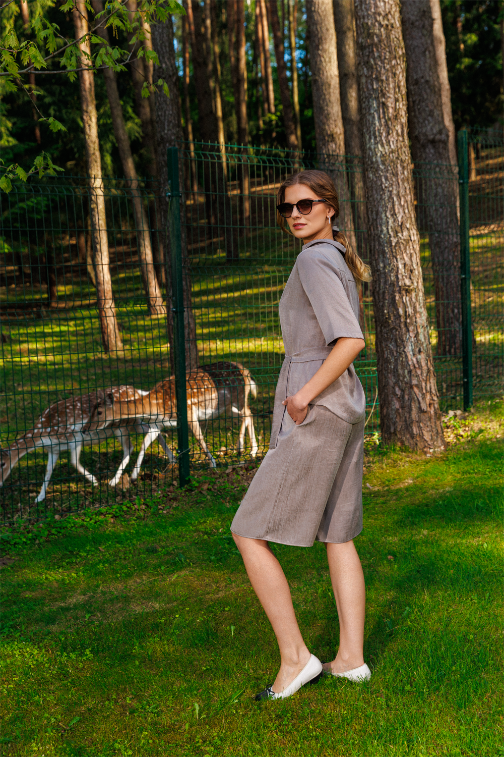 Set "Safari"