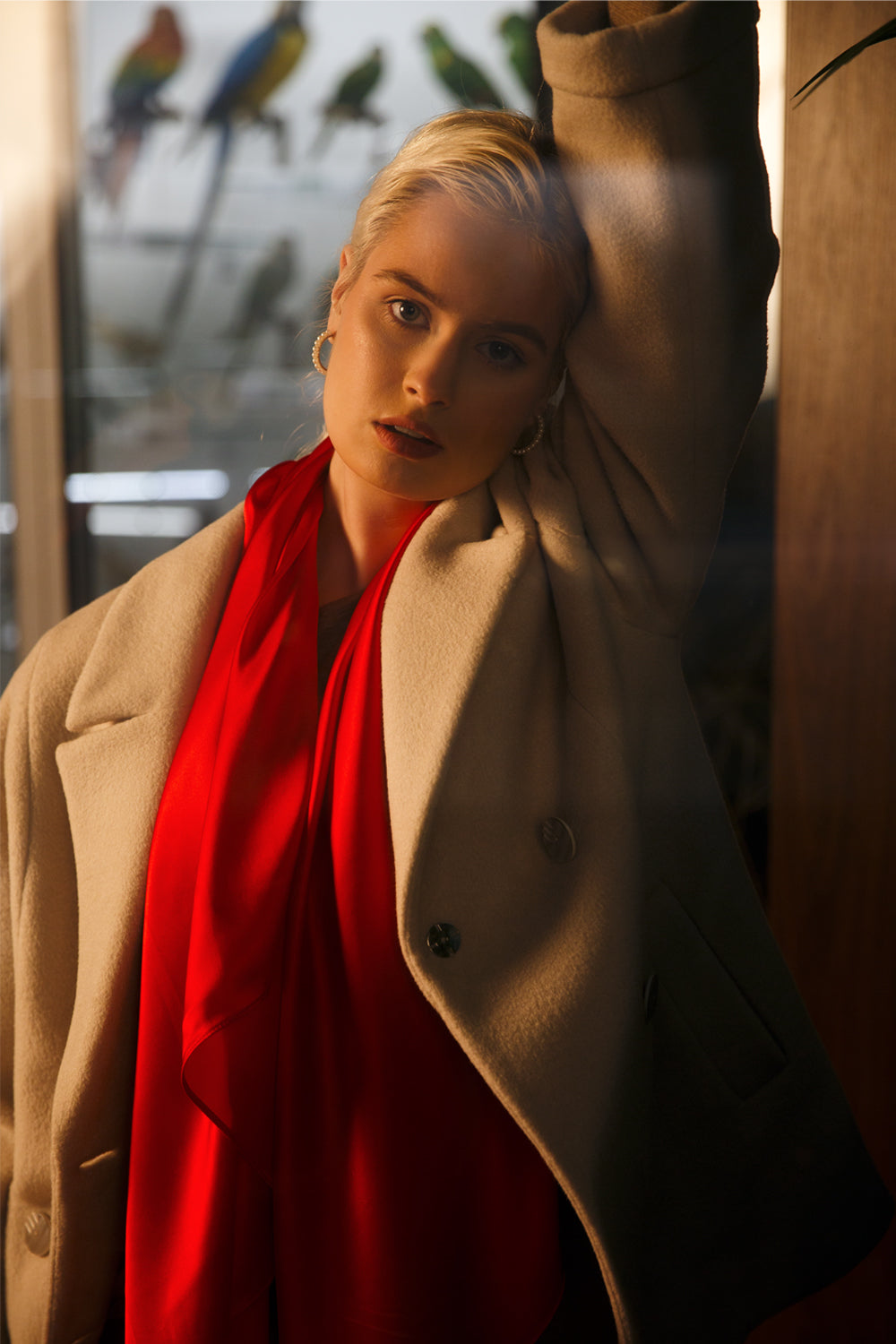 Ivory colour coat "Ivory"